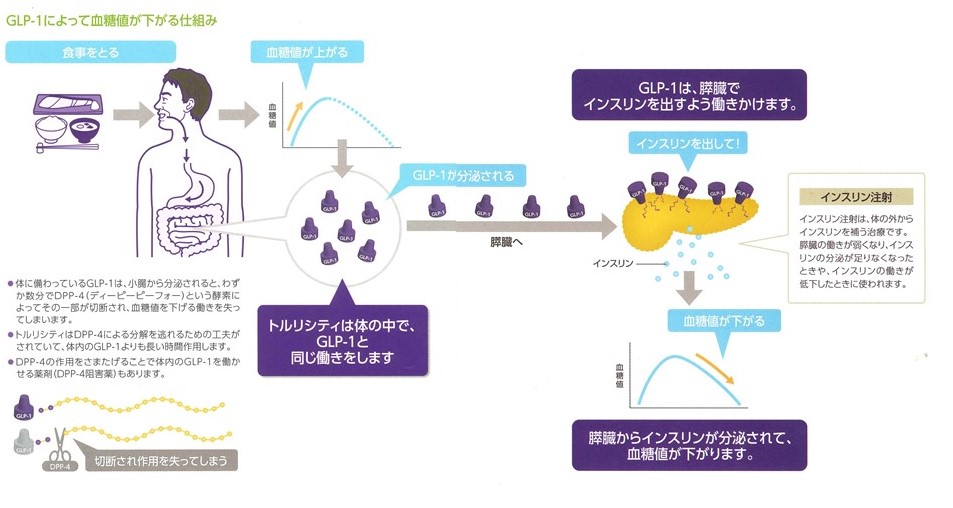 GLP-1 RA を他の薬と併用するのは安全ですか?