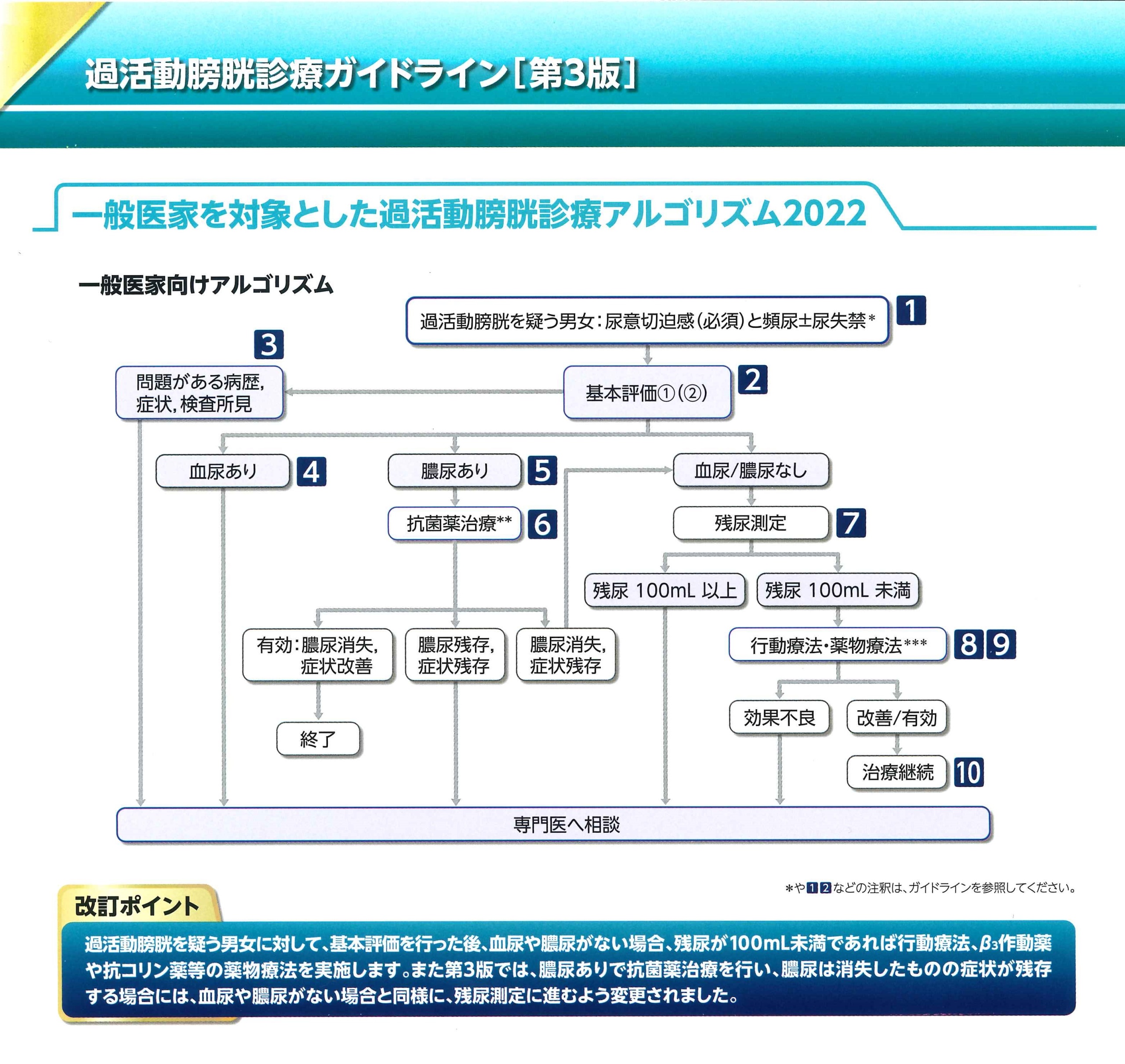 過活動膀胱OABの診療ガイドライン: 泌尿器科の常識と盲点